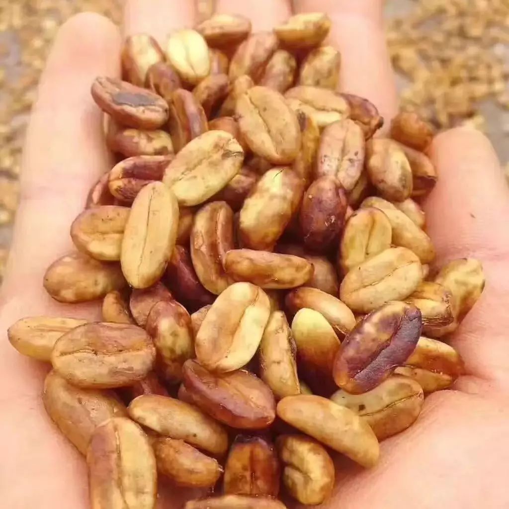 【干貨】處理法 | 葡萄干處理法、橙蜜處理法、二氧化碳酵母法？