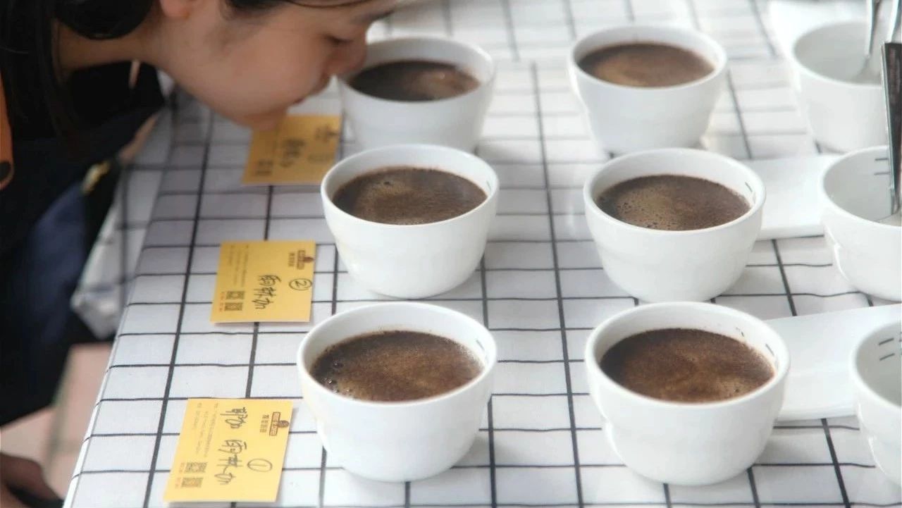 深度剖析--咖啡里面的花香，你能分辨出來(lái)嗎？