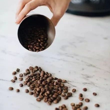 夏威夷KONA  | 咖啡工房研習(xí)課室