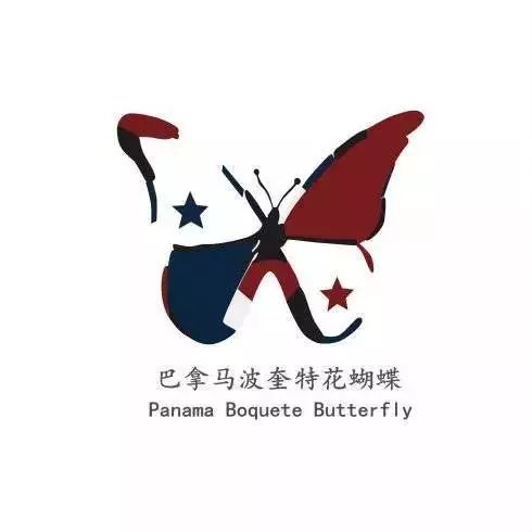 最高優(yōu)惠 元 ! 花蝴蝶+燭芒特別活動！巴西coe，花魁 折??！