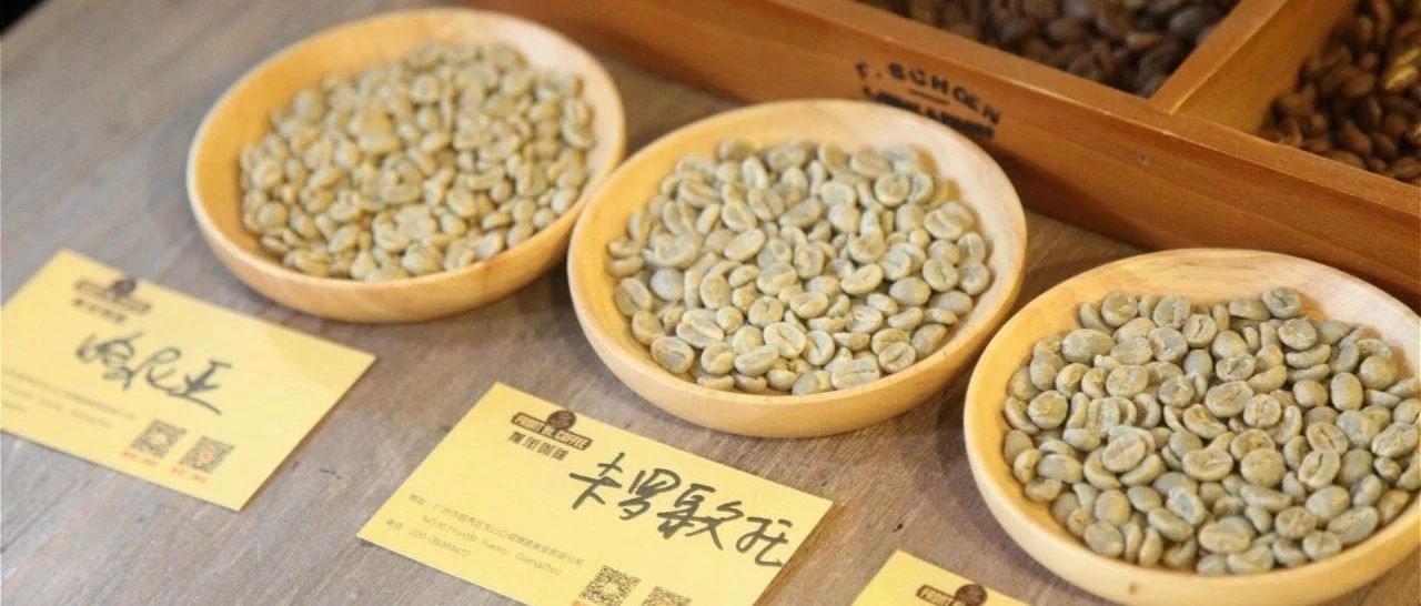 肯尼亞 |卡羅歌托 VS 阿薩莉亞 VS 哈尼亞，哪個好喝？