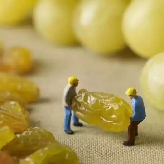 科普  |  葡萄干處理法究竟是怎樣處理的？