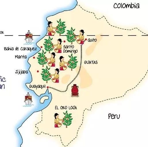 哥倫比亞 | 考卡卓越杯 VS 唐納德，不同烘焙方式的區(qū)別？
