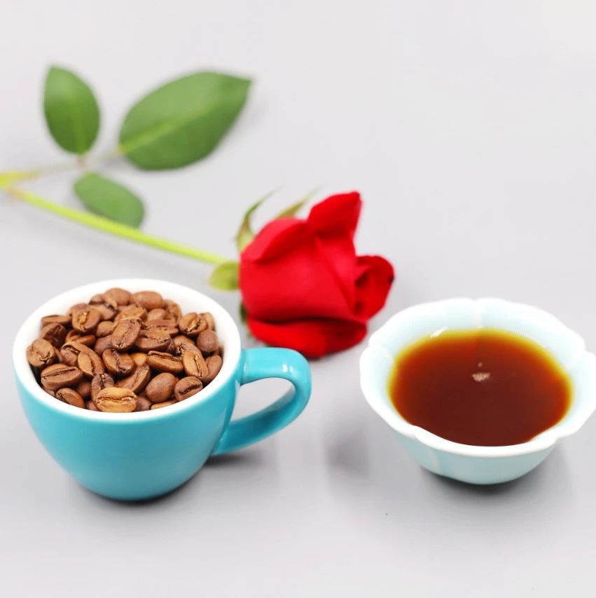 周末有好豆 | 這杯 分的綠頂瑰夏，你喝過嗎？
