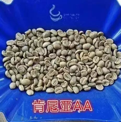 【原創(chuàng)】對于一支陌生豆子，烘焙師是如何找對它的曲線