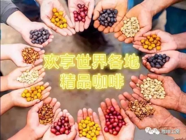 一篇文章了解常見的精品豆風(fēng)味大全，這些豆子你都喝過嗎？