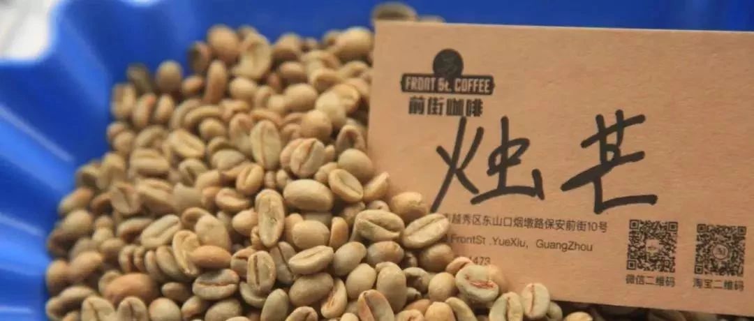 沖煮【西達摩 燭芒】| 種“聰明”打開方式？