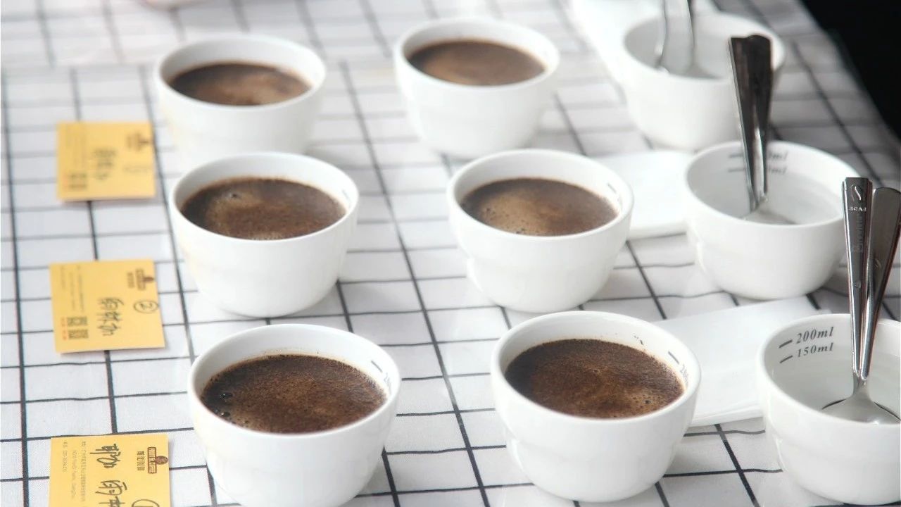 Cupping，教你正常的杯測流程和步驟？