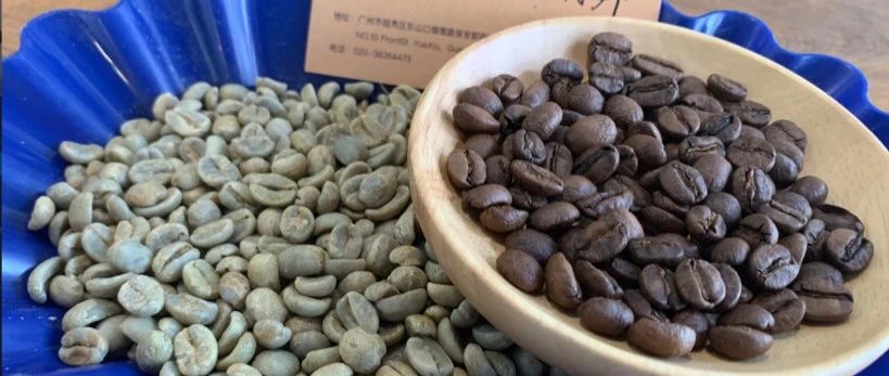 【前街尋豆手記】哥斯達黎加卡內(nèi)特莊園音樂家系列——肖邦