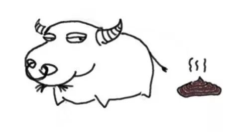 泰國驚現(xiàn)重口味“牛屎咖啡”！每公斤一萬泰銖 喝后感：酸甜不澀？？