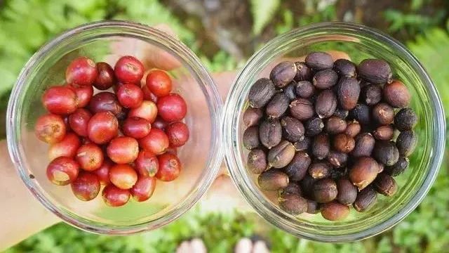 收藏 | 史上最全Ninety Plus 九十+詳解