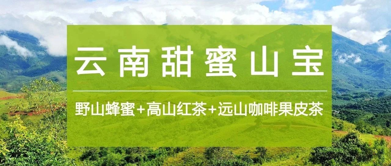 云南甜蜜山寶 . 折購，識貨的已入手！