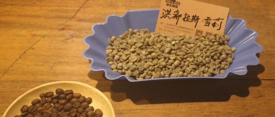 【前街咖啡師手記】洪都拉斯威士忌雪莉酒桶發(fā)酵咖啡的專題報(bào)告