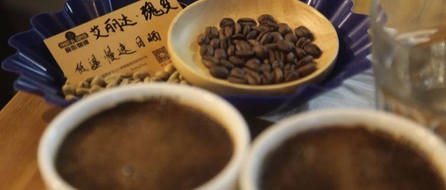 來自BOP“標(biāo)王”得主莊園——艾麗達(dá)莊園的厭氧發(fā)酵低溫慢速日曬瑰夏