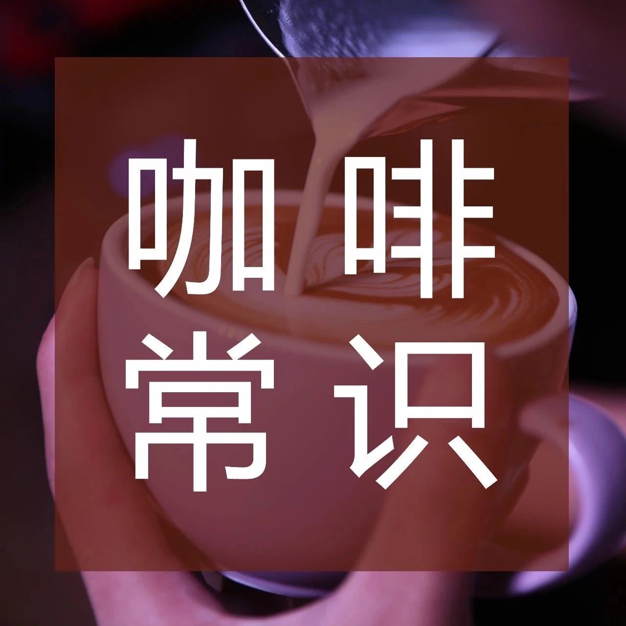 咖啡館點(diǎn)單指南，分享一起漲姿勢