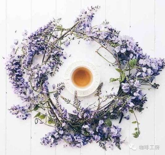 【健康】咖啡和茶，哪個更適合你？