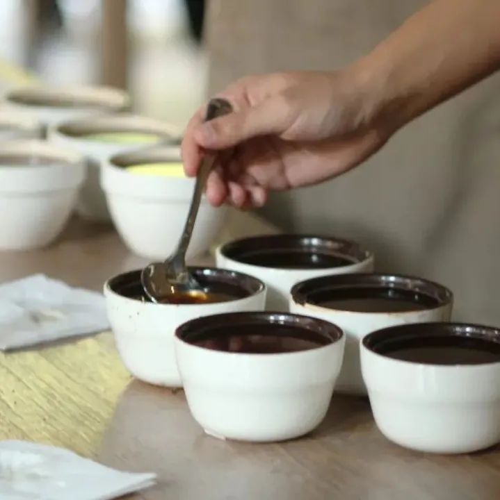 如何確定咖啡風(fēng)味？帶你了解SCA咖啡杯測(cè)的詳細(xì)過程步驟