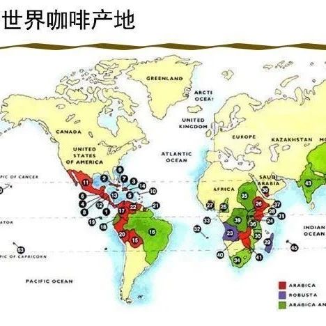 咖啡知識(shí) | 三大咖啡品種是什么？