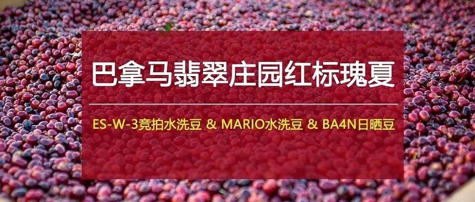 過(guò)年喝紅標(biāo)瑰夏，來(lái)年事業(yè)更紅火！