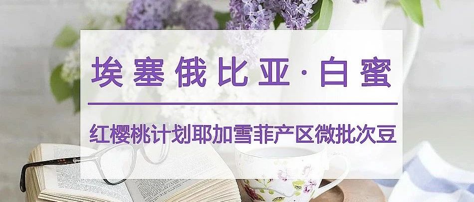 耶加雪菲白蜜第包半價(jià)，僅在今天！