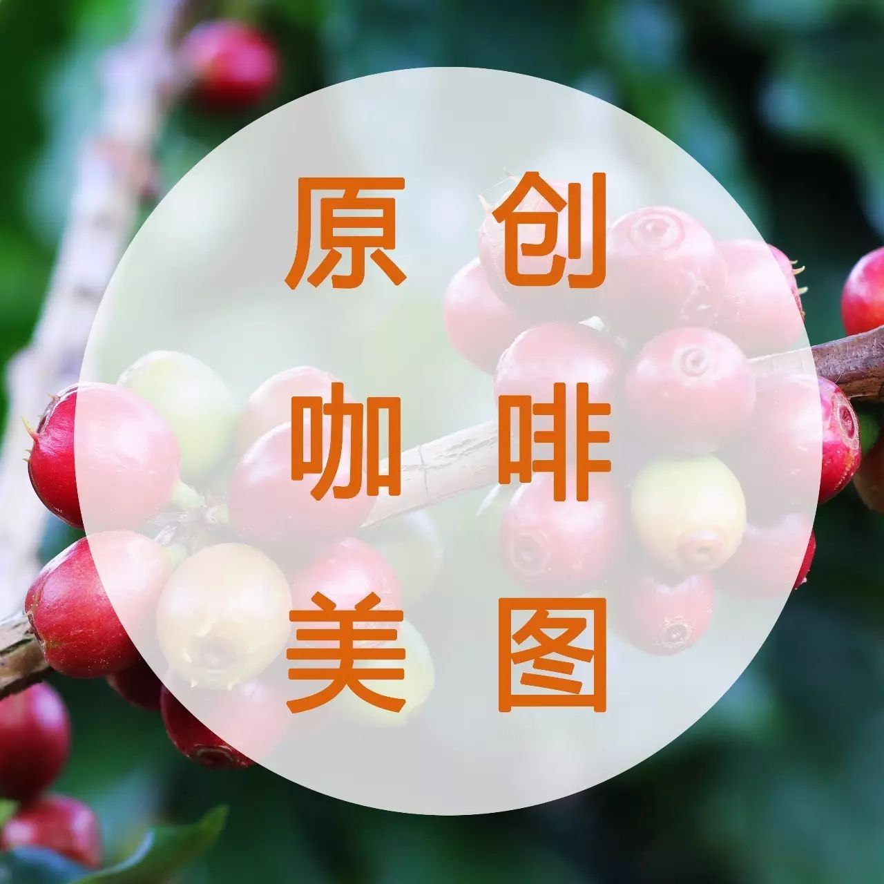 咖啡主題手機壁紙 | 這才是我喜歡的生活