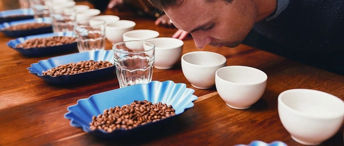 嗅覺的秘密：玩咖啡的都在看！