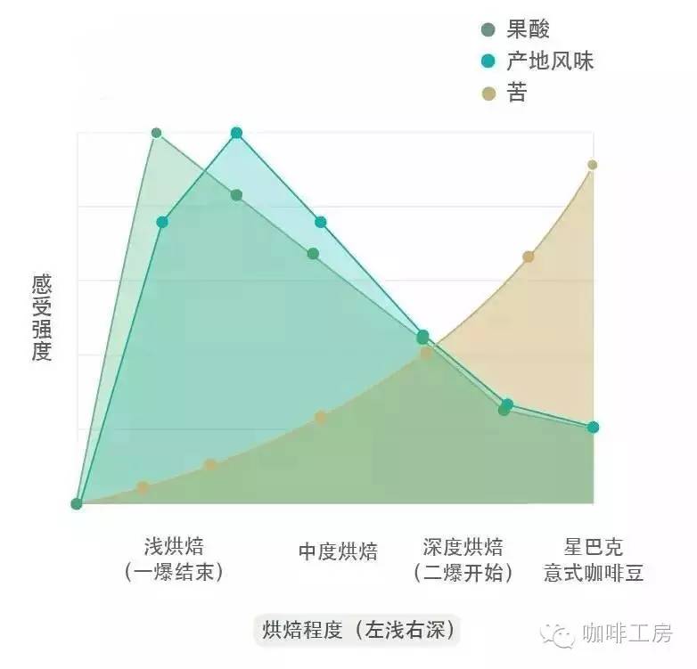 中國(guó)首個(gè)COE國(guó)際裁判帶你深扒烘焙對(duì)咖啡豆的影響