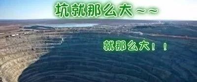 咖啡師：太焦慮了，狗沒(méi)有我這么累??！