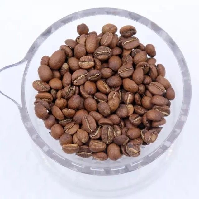 厭氧日曬豆，是你的菜嗎？