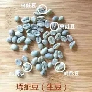 科普| 埃塞豆為什么有大有小，不均勻？什么叫做原生種？