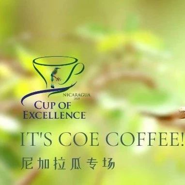 命途多舛的CoE擁躉——尼加拉瓜 | 產(chǎn)地故事+全國分享會(huì)