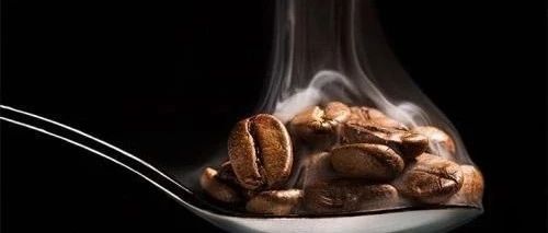 怎么養(yǎng)，養(yǎng)多大？養(yǎng)豆的科學(xué)