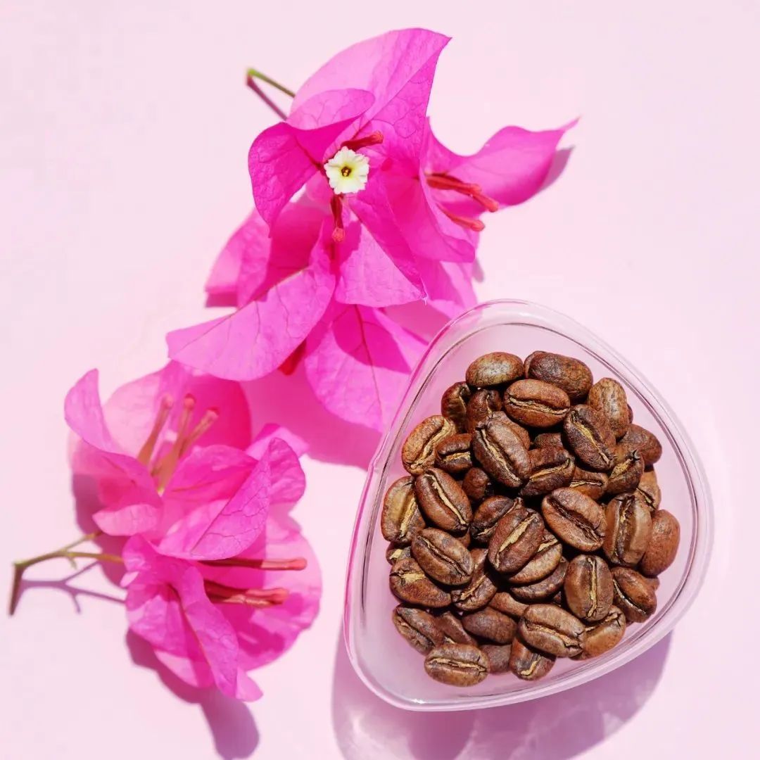 你喝過(guò)蜜處理粉波旁嗎？水果甜感滿滿~