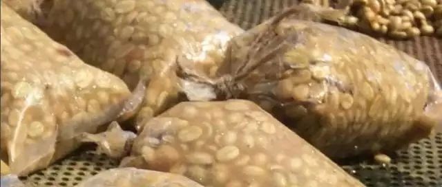 發(fā)酵 | 如何影響咖啡風味的形成的？