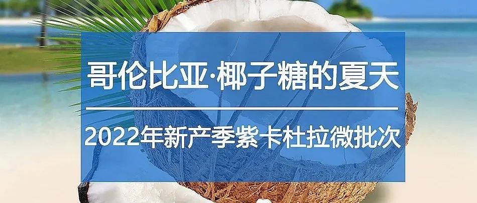 新產(chǎn)季紫卡杜拉上線，名字亮了~