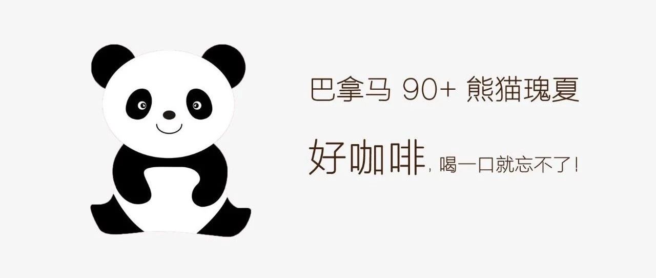 咖啡圈流行喝"熊貓瑰夏"，你品過沒？