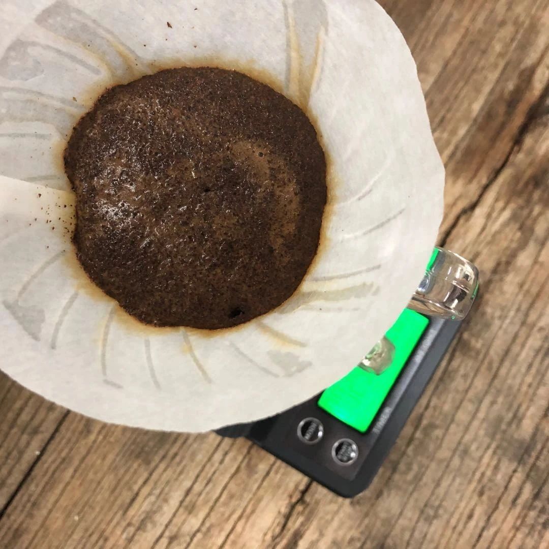 咖啡沖煮實(shí)驗(yàn)室 |肯尼亞撒西尼莊園AA與PB風(fēng)味對比