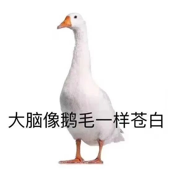 “我那天買豆子，忘記備注代磨粉了！”