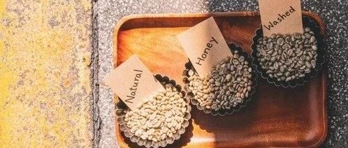 解碼不同咖啡處理法的風(fēng)味特征，建議收藏！