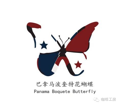 咖啡工房大詞典【巴拿馬波奎特花蝴蝶】精品咖啡豆