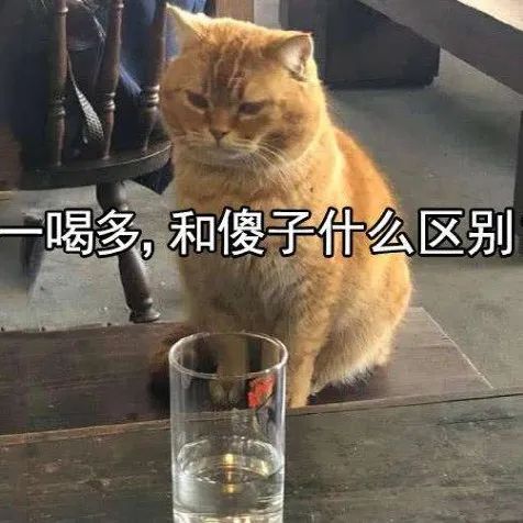 成年人白天的酒是什么？噢，原來是咖啡！