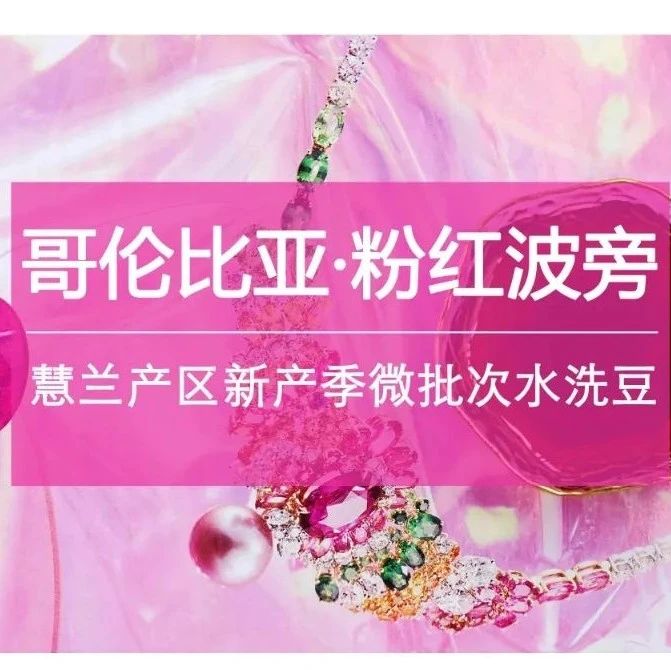 好豆推薦 | 粉紅波旁第包半價，限量份出完止！