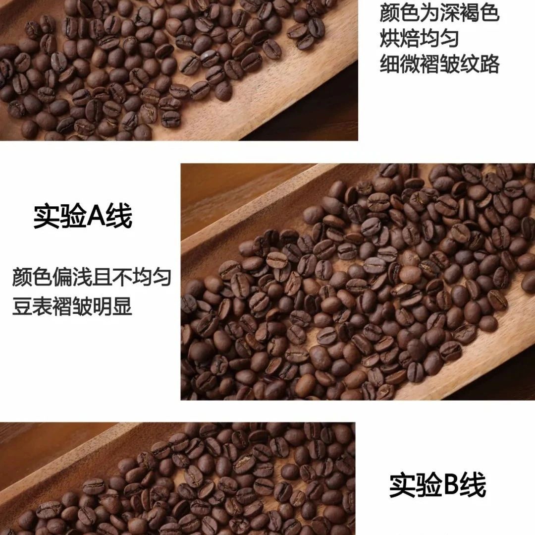 從零開始的咖啡烘焙 | 烘焙第三課：探索發(fā)展期對咖啡風(fēng)味的影響