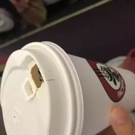 又見蟑螂？太平洋咖啡喝出死蟑螂！承諾的好品質(zhì)上哪去了？