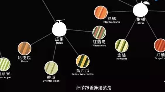 臺灣版咖啡風味輪，有何妙用？