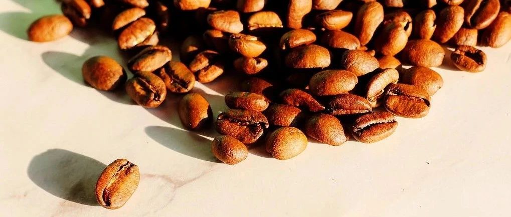 勁省  元! 款好豆特價(jià)組合熱銷中(限時(shí)加送濾紙)