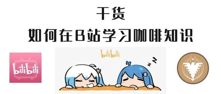 干貨 | 如何在B站學(xué)習(xí)咖啡知識(shí)