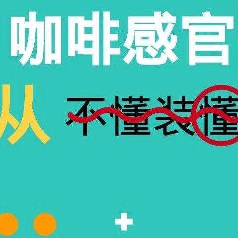 王旻旻專場 | 咖啡感官開發(fā)研習(xí)課