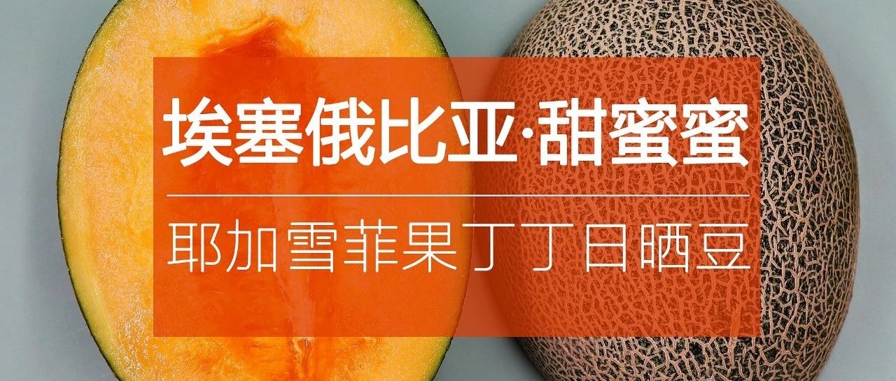 耶加雪菲果丁丁日曬豆，第包半價速度入手！