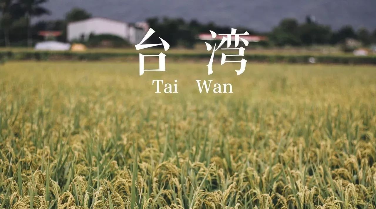 覓館｜在臺灣半個月 私藏了 家最愛的咖啡店